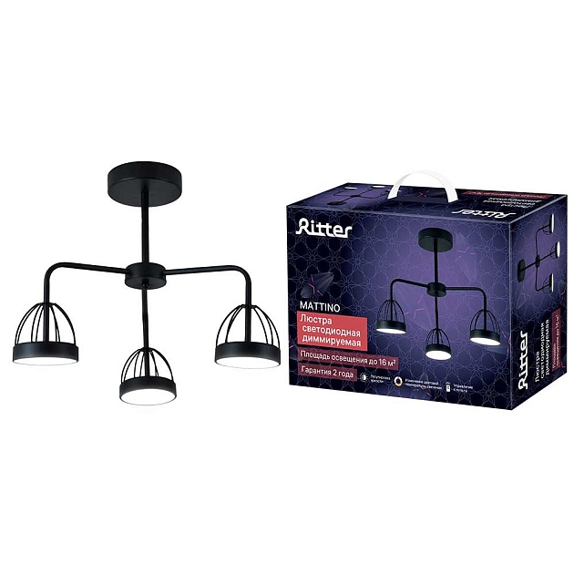 Потолочная люстра Ritter MATTINO 51593 1 Фото № 