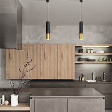 Подвесной светильник Eurosvet Tony DLN108 GU10 черный/золото 3