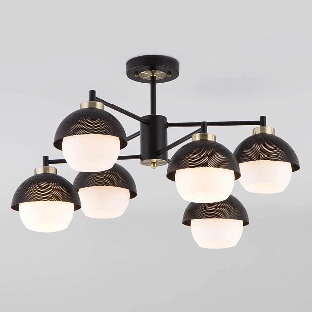 Потолочная люстра Eurosvet 70106/6 черный изображение Потолочная люстра Eurosvet 70106/6 черный Фото №