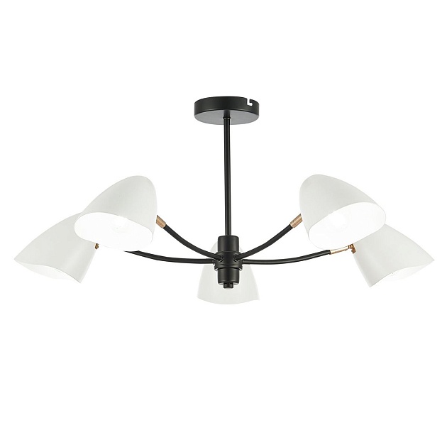 Потолочная люстра Evoluce Satta SLE103602-05 изображение Потолочная люстра Evoluce Satta SLE103602-05 Фото №