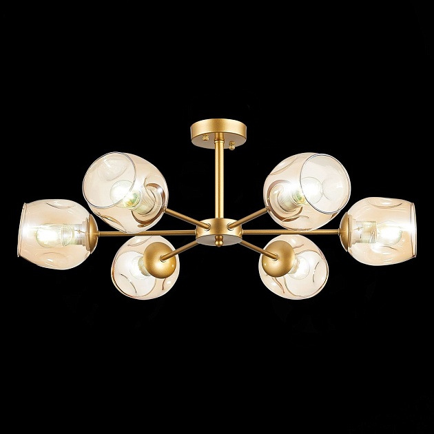 Потолочная люстра Evoluce Pallo SLE155412-06 Фото № 3