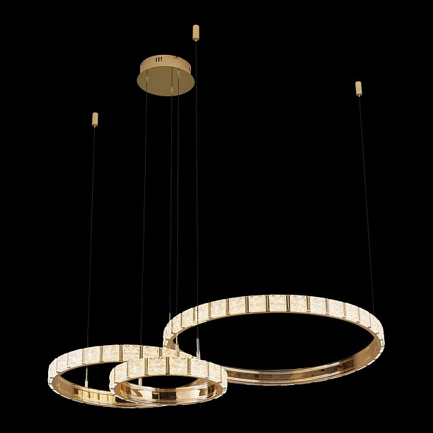 Подвесная светодиодная люстра Wertmark Vera WE458.03.383 изображение Подвесная светодиодная люстра Wertmark Vera WE458.03.383 Фото №