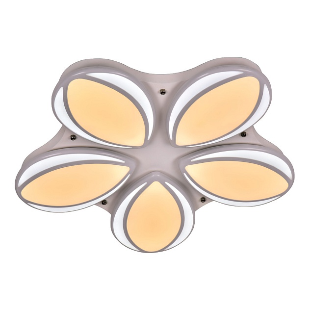 Потолочный светодиодный светильник Adilux 1012 Фото № 