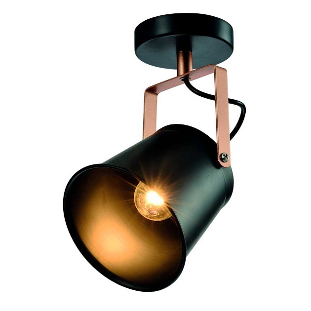 Спот Rivoli Acuto 7015-701 Б0061501 Фото № 