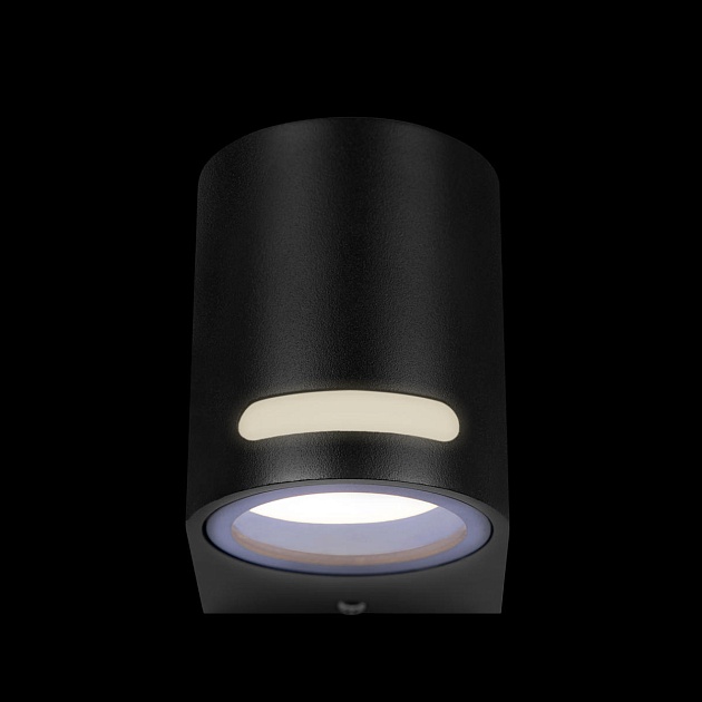 Уличный настенный светильник Loft IT Stema 100012/A Фото № 7