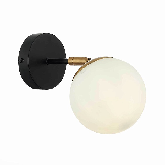 Бра Evoluce FORLI SLE220401-01 Фото № 