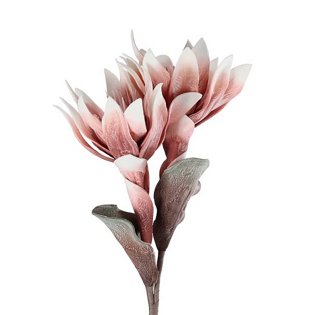 Искусственное растение Eglo MOLAVE 428124 изображение 3 Искусственное растение Eglo MOLAVE 428124 Фото № 3