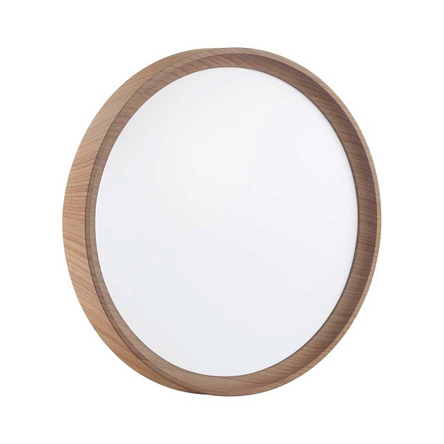 Настенно-потолочный светодиодный светильник Sonex Woodi 7603/DL Фото № 6