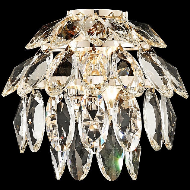 Настенный светильник Wertmark Ludgera WE113.02.301 Фото № 