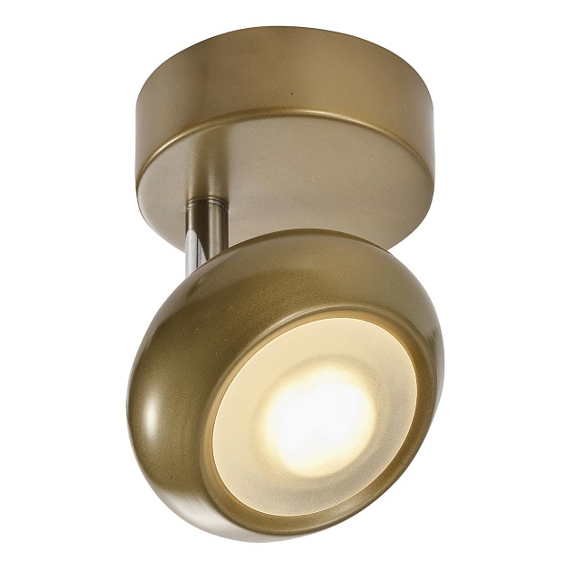 Светодиодный спот Toplight Carissa TL1244Y-01SG Фото № 