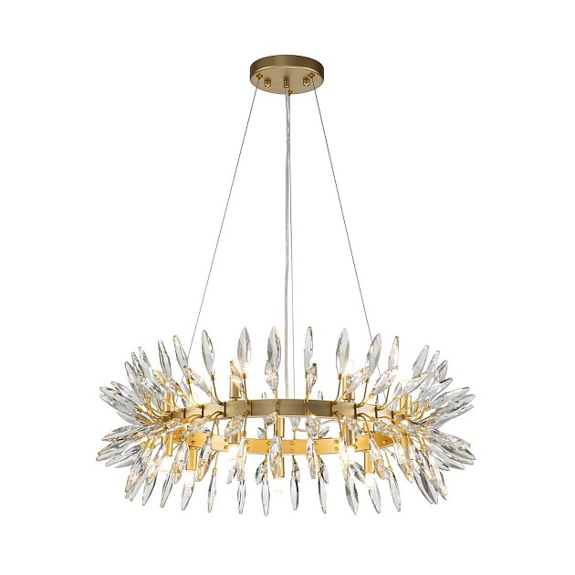 Подвесная люстра Favourite Rays 4058-14P изображение Подвесная люстра Favourite Rays 4058-14P Фото №