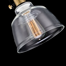 Подвесной светильник Maytoni Irving T163-11-C 1