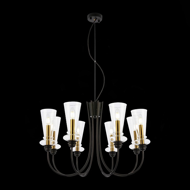 Подвесная люстра Evoluce Rammo SLE112403-08 изображение 5 Подвесная люстра Evoluce Rammo SLE112403-08 Фото № 5