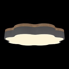 Потолочный светодиодный светильник Loft IT Axel 10225/36 Grey 3