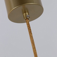 Подвесной светодиодный светильник Favourite Vertex 4286-6P 2