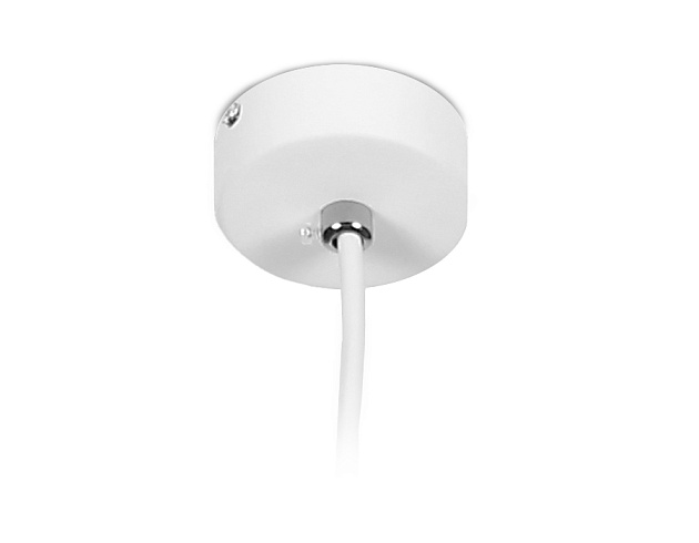 Подвесной светодиодный светильник Ambrella light Techno Spot TN501 изображение 2 Подвесной светодиодный светильник Ambrella light Techno Spot TN501 Фото № 2