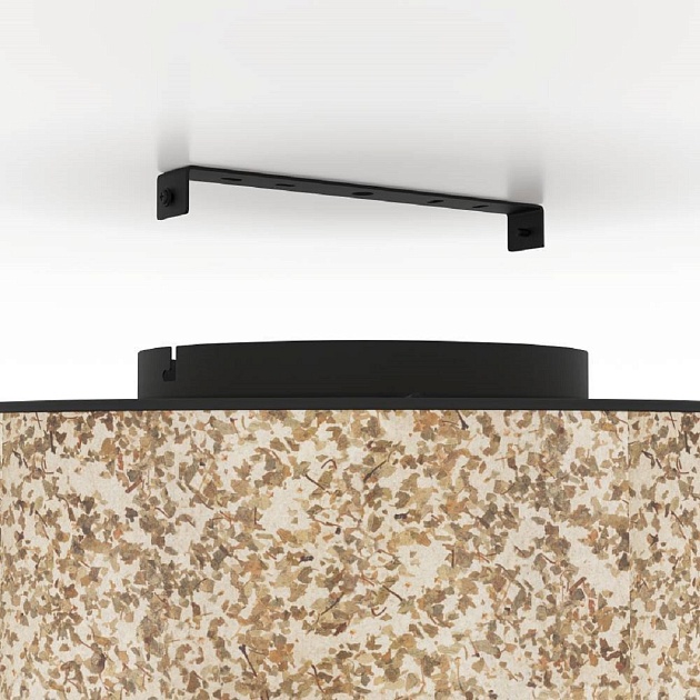 Потолочный светильник Eglo Butterburn 43935 Фото № 4