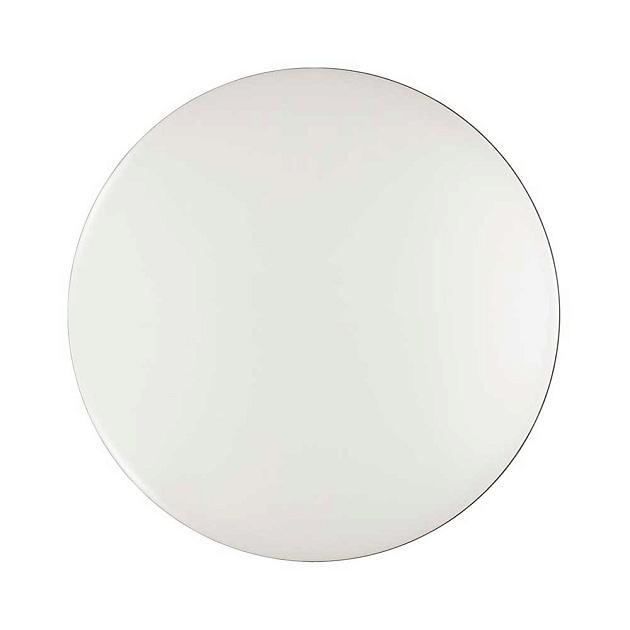 Настенно-потолочный светодиодный светильник Sonex Tan Vaka 3042/AL Фото № 2