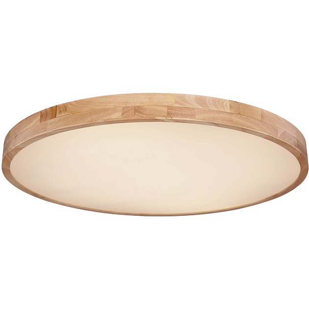 Потолочный светодиодный светильник Globo Rainer 41745-60 Фото № 