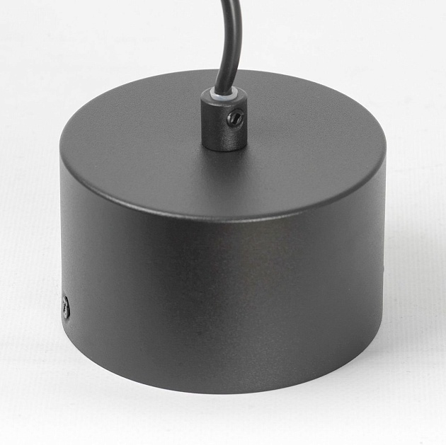 Подвесной светильник Lussole Levy LSP-8917 Фото № 3