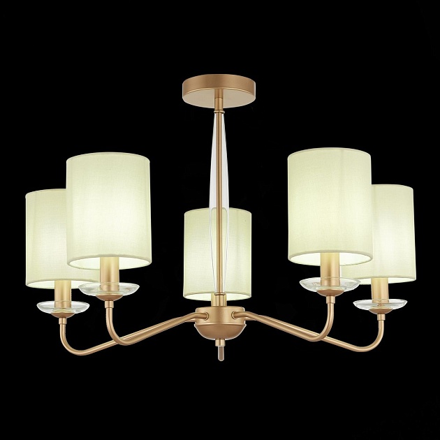 Потолочная люстра Evoluce Rita SLE108002-05 изображение 2 Потолочная люстра Evoluce Rita SLE108002-05 Фото № 2