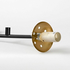 Подвесная люстра Lussole LSP-8891 3