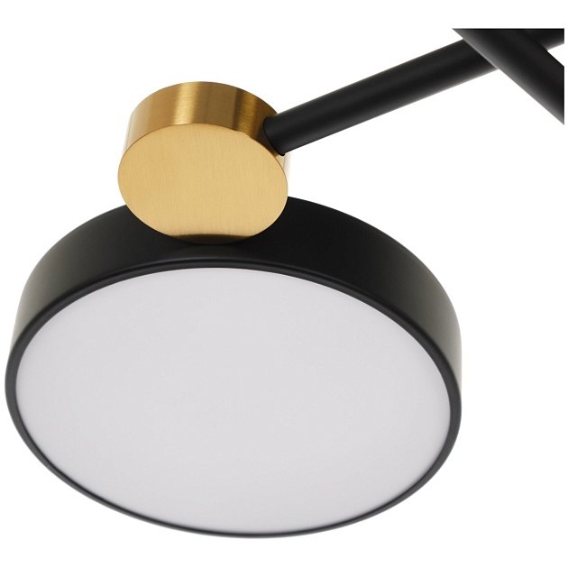 Потолочная светодиодная люстра MyFar Mandy MR1230-6CL изображение 3 Потолочная светодиодная люстра MyFar Mandy MR1230-6CL Фото № 3