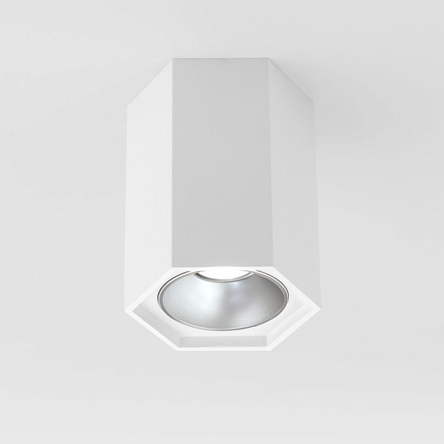 Потолочный светодиодный светильник Elektrostandard 25036/Led a055856 изображение Потолочный светодиодный светильник Elektrostandard 25036/Led a055856 Фото №