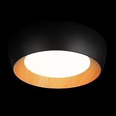 Потолочный светильник Loft IT Folk 10255/500 Black 5