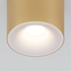 Потолочный светильник Maytoni Technical Spark C094-GU10-MG 2