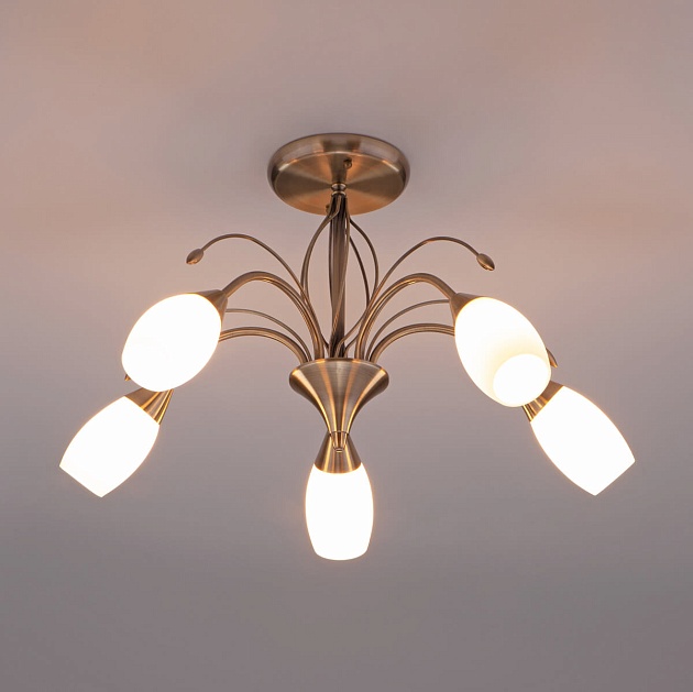 Потолочная люстра Eurosvet 30280/5 античная бронза изображение 3 Потолочная люстра Eurosvet 30280/5 античная бронза Фото № 3