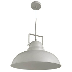 Подвесной светильник Arte Lamp Martin A5213SP-1WG