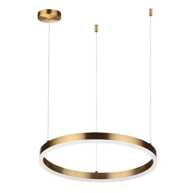 Подвесной светодиодный светильник Lumion Ledio Echo 6531/34L Фото № 