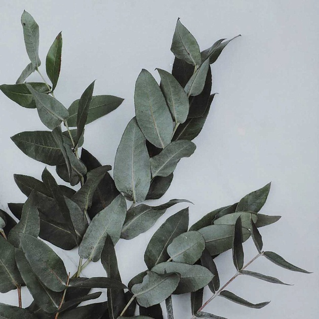 Фоторамка Eglo RENABIE 423006 Фото № 2