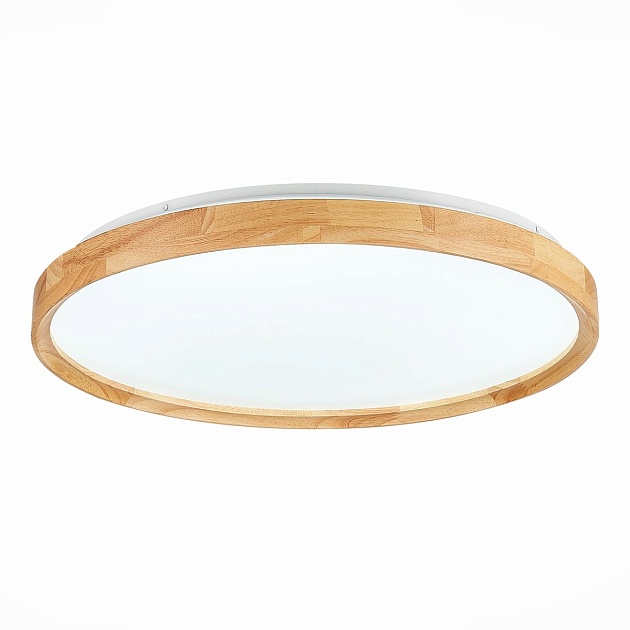 Потолочный сетодиодный светильник Evoluce Delia SLE201382-01 Фото № 2