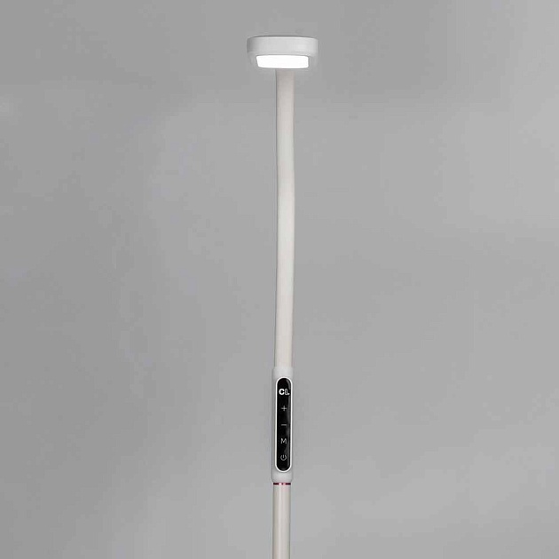 Торшер Citilux Марк CL804020 Фото № 6