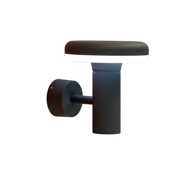 Уличный настенный светодиодный светильник Citilux CLU01W Фото № 