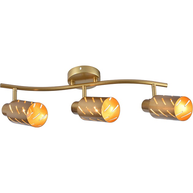 Спот Reluce 05970-0.8-03 GOLD изображение Спот Reluce 05970-0.8-03 GOLD Фото №