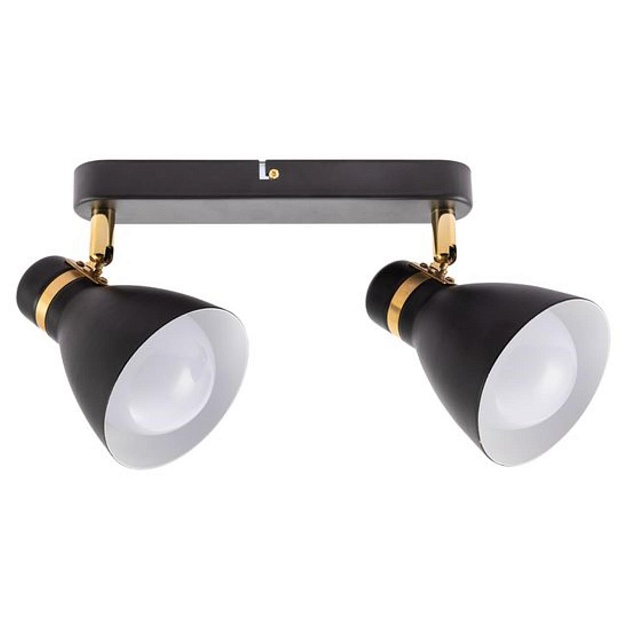 Спот Arte Lamp Fafnir A5047PL-2BK Фото № 