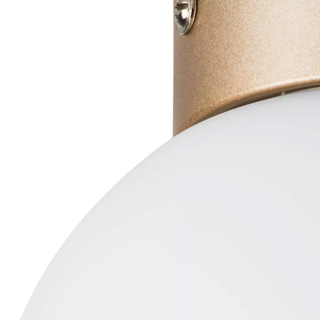 Настенно-потолочный светильник Lightstar Globo 812013 Фото № 3