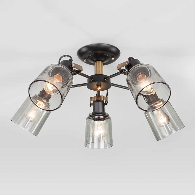 Потолочная люстра Eurosvet Astor 70111/5 черный изображение Потолочная люстра Eurosvet Astor 70111/5 черный Фото №