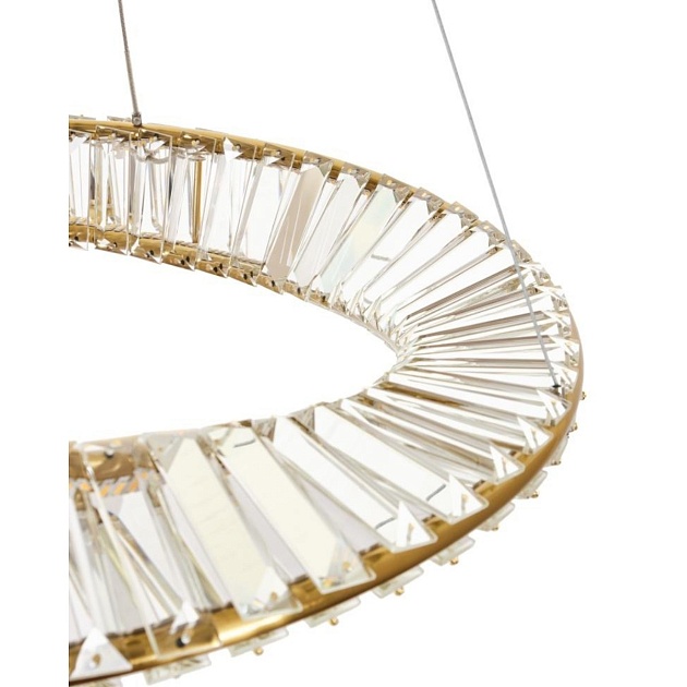 Подвесной светодиодный светильник MyFar Ricky MR1260-PL Фото № 3