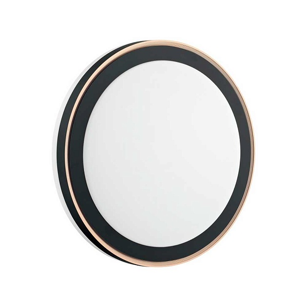 Настенно-потолочный светодиодный светильник Sonex Akuna 7620/DL Фото № 2