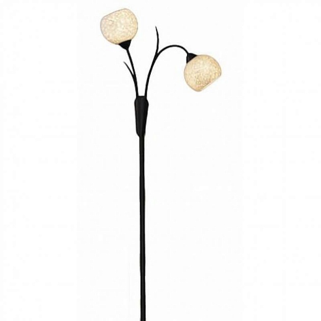 Торшер Lussole Bagheria GRLSF-6295-02 изображение Торшер Lussole Bagheria GRLSF-6295-02 Фото №