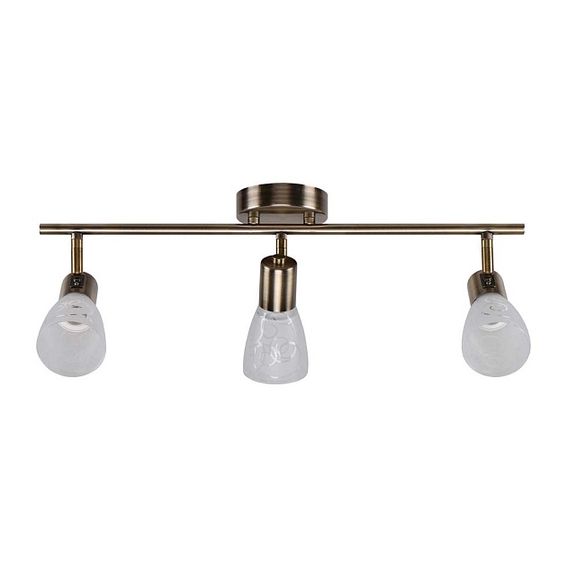 Спот ЭкономСвет 20786/3AB WT Фото № 