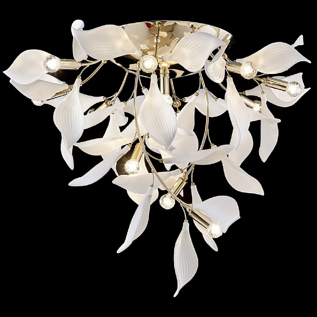 Потолочная люстра Wertmark Miranda WE123.12.307 Фото № 