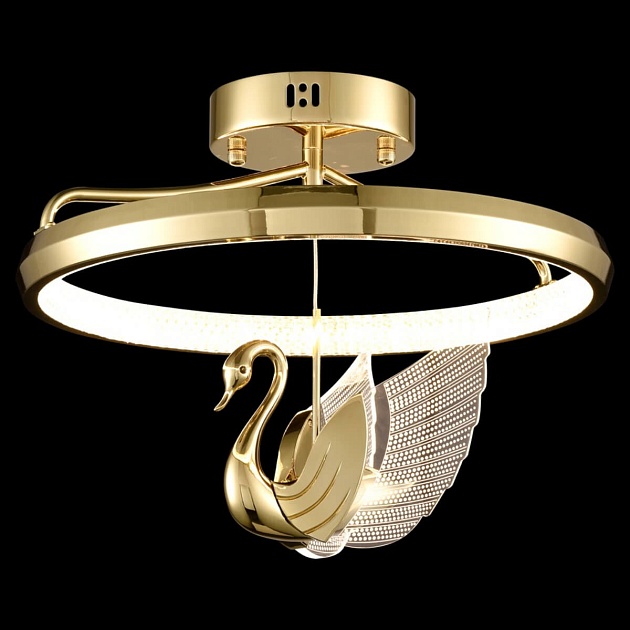 Подвесная светодиодная люстра Wertmark LETIZIA WE466.02.307 Фото № 