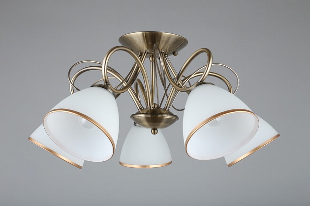 Потолочная люстра Omnilux Alimini OML-25307-05 Фото № 7