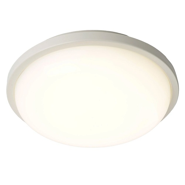 Потолочный светодиодный светильник Feron TR ЖКХ Круг 51513 изображение 5 Потолочный светодиодный светильник Feron TR ЖКХ Круг 51513 Фото № 5