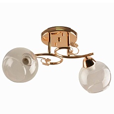 Потолочный светильник ЭкономСвет 11177/2FGD CL